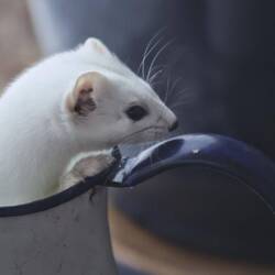 und wieder raus 😅