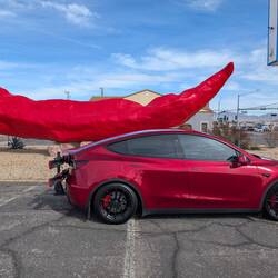 Largest chili pepper 😆