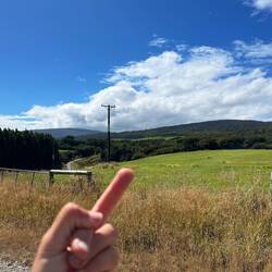 Goodbye worst forrest ever