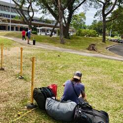 Die Wiese von Puerto Princessa...