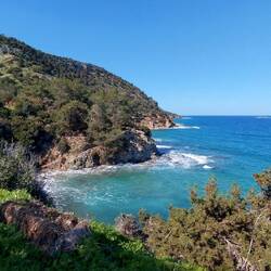 Ausblick von der Steilküste.