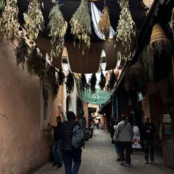 In the Medina suk