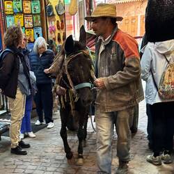 Donkey carts in the market are commonplace