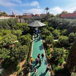 View of the garden from a balcony