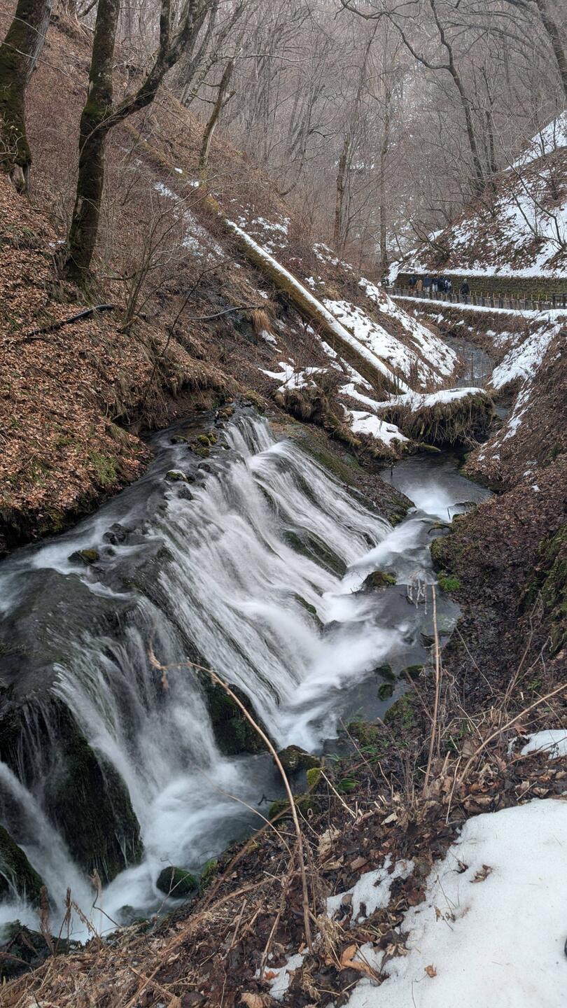 Kurzer Zwischenstopp am Shiraito Waterfall