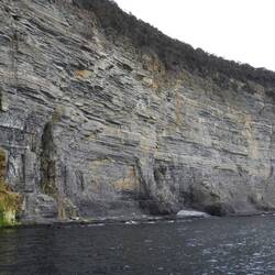 Fossil cliffs on Maria Island