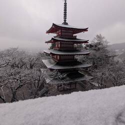 Mt. Fuji ist nur an ca. 80 Tagen im Jahr komplett zu sehen. Wir hatten diesmal leider kein Glück.