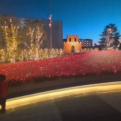 Zum 40tigsten Geburtstag von Mario gibt es eine Lichtinstallation im Hof.