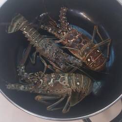 Au menu du Zanzibar ce soir...