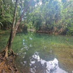 Mason's Swimming Hole