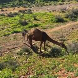 Die ersten Tiere nah dran.