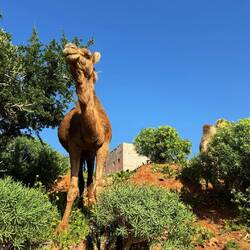 Das kam dann auf einmal runter 👇 😳