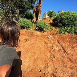 Die anderen 2 auf der Eben über mir. 🫶❤️💫