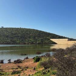 Der Blick von der Badestelle auf den Damm! ☀️