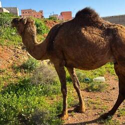 Stand dann direkt neben mir und hat an meiner Hand gerochen. ✊