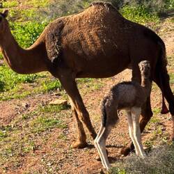 Das ganz Kleine und die Mama 🫶❤️💫