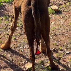 Da hängt bei der Mutter noch das Gedöns raus, das kann also gerade erst geschlüpft sein. 💫😏