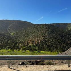 Alles extrem saftig, was für Marokko sehr selten ist.