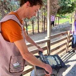 Mind the bunny apron