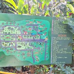 Centro Rescate & Santuary Las Pumas