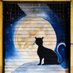 Bologna, Italy.