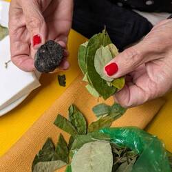 Die richtige Mischung macht's ...