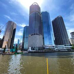 Überall gibt es entlang des Brisbane Rivers sog. River Walks, wo man schön spazieren gehen kann