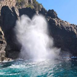 Blowhole...