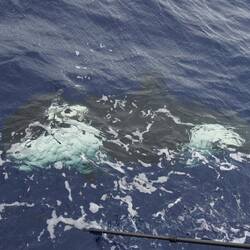 Smile für d GoPro Unterwasser