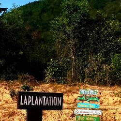 Direction la Plantation 🌱🤗 (pour retrouver le meilleur poivre du monde de Kampot)