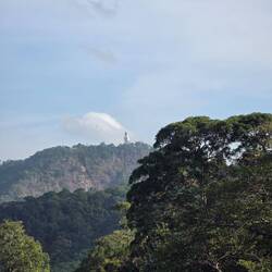 Der weiße Buddha leider nur aus der Ferne