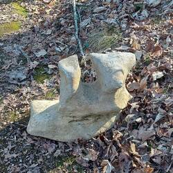 Bin erst mal erschrocken weil es wie eine riesen Wirbelsäule aussah ... ein Stein.