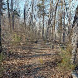 Nix los und schönes Wetter, ich werd weich ... Spazieren gehen 🤣