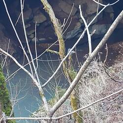 Wer findet das Eichhörnchen.