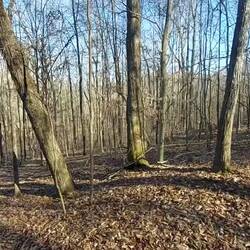 Auf'm Land, nix zu hören.