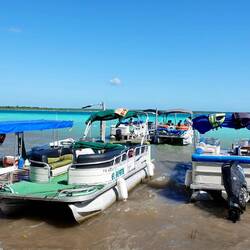 Alles voller Ausflugsbooten