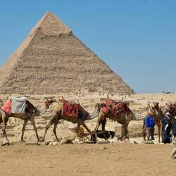 Kamele dürfen nicht fehlen