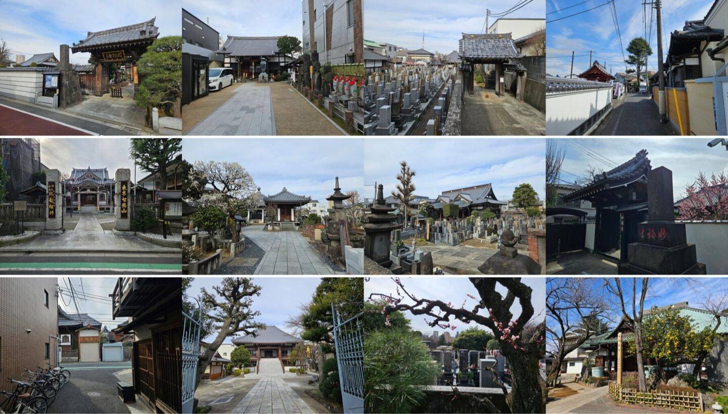 Des dizaines, je vous dis, c'est pire qu'à Chiang Mai