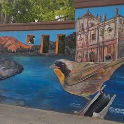 New town mural