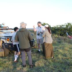 Verpflegungsstopp beim 16:00 Uhr Game Drive mit Snacks, Cider, Bier oder Mineralwasser