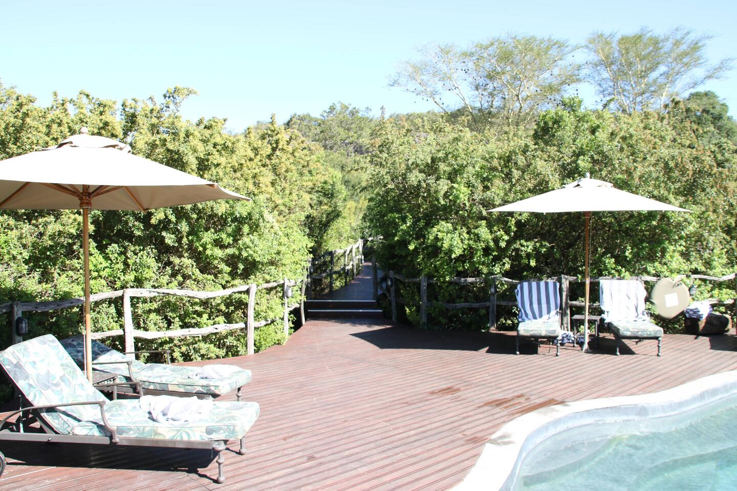 Lalibela Game Reserve Pool