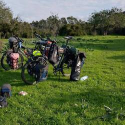 Campspot auf der Steilküste.