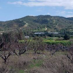 Die Berge kommen näher.