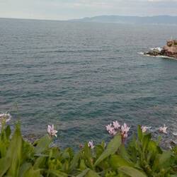 Blick von der Steilküste.