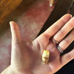 Mango-Ginger🫚 (deutlich milder)