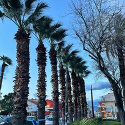 ..wie klein ich daneben bin 😆