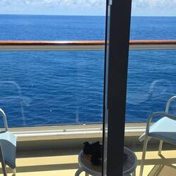 Sonne auf dem Balkon, aber zu warm