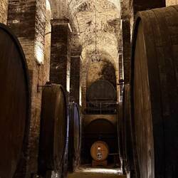 Die "Kathedrale" des Weines.