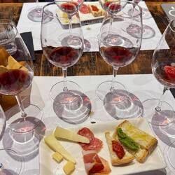 Selten so gute Weine probiert. Da wird es schwierig, was in den Weinkeller des Womos darf.