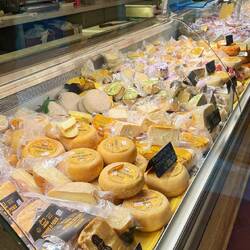 Die Region wird geprägt vom Pecorino.